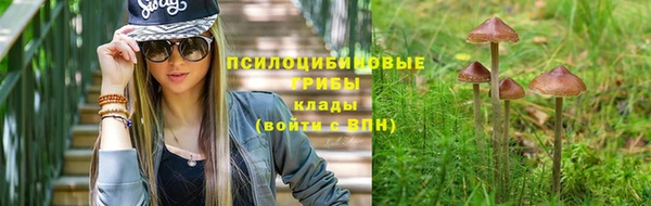 ECSTASY Алзамай