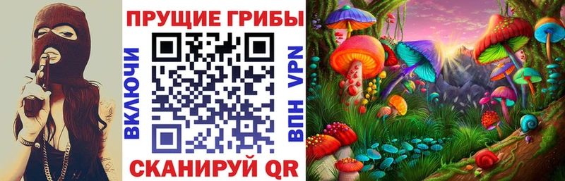 наркошоп  Клинцы  Галлюциногенные грибы MAGIC MUSHROOMS 