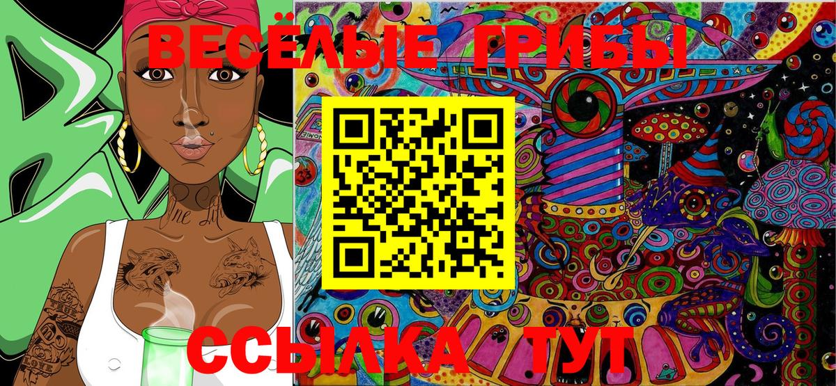 Галлюциногенные грибы Psilocybe  Вход с VPN  Галлюциногенные грибы MAGIC MUSHROOMS  Клинцы 