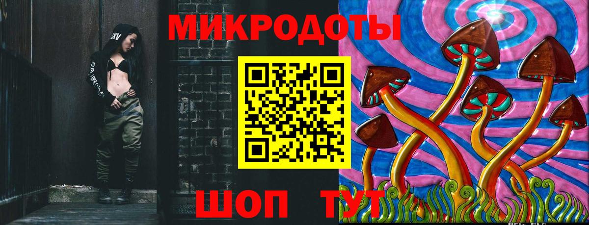 Псилоцибиновые грибы Psilocybine cubensis Клинцы
